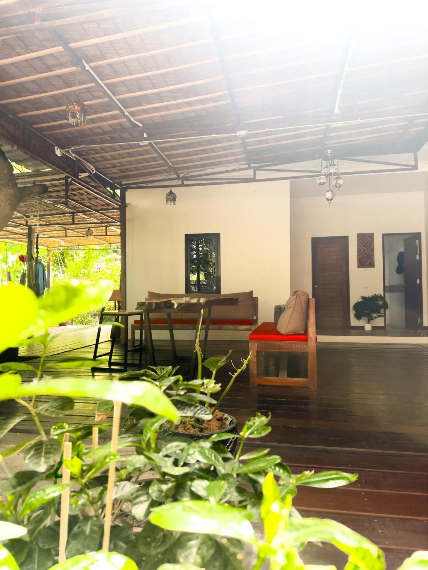 Hotel Jungle Vibes Thong Sala Exterior foto